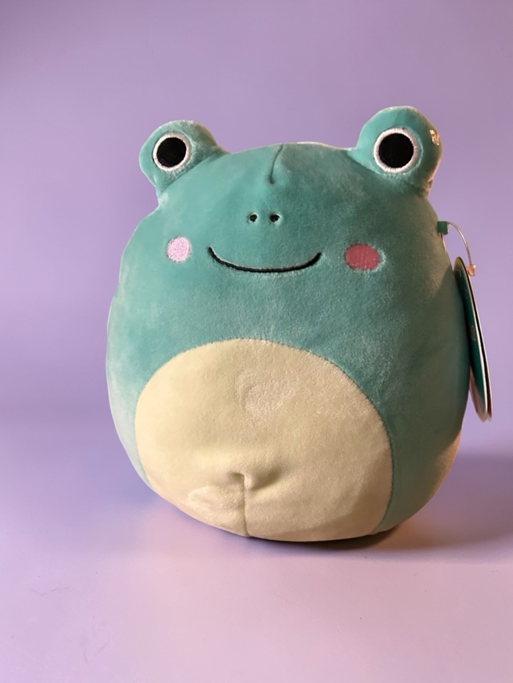 Ludwig Frog Squishmallow 8” Green Plush Classic Cute Frog NWT